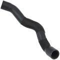 Z71663R — ZIKMAR — Lower radiator hose
